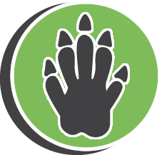 Key Deceased Pet Removal