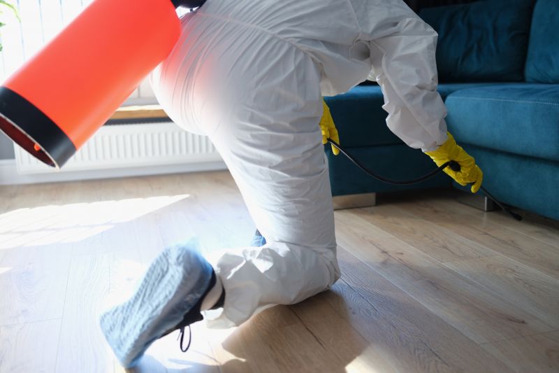 Centipede Extermination in Arlington, TX